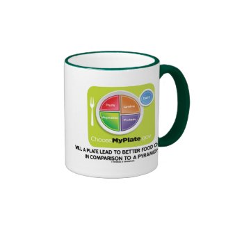 Will A Plate Lead To Better Food Choices Pyramid Mug