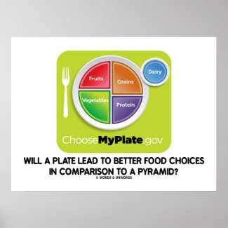 Will A Plate Lead To Better Food Choices Pyramid Print