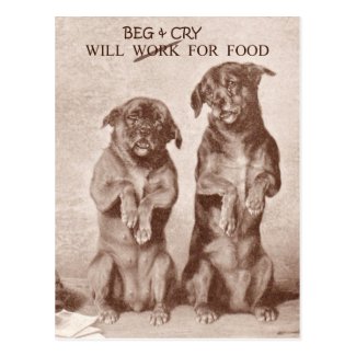 Will Beg & Cry for Food Postcards