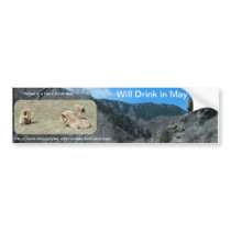 Will Drink in May bumper stickers