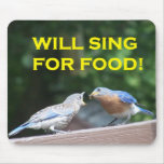Will Sing For Food Mousepad