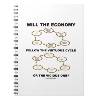 Will The Economy Follow The Virtuous Cycle Vicious Note Books