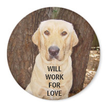 WILL WORK FOR LOVE magnets