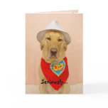 Will You be Mine? Greeting Cards