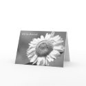 Will You Be My Bridesmaid? Card -- Sunflower by KathyHenis Will You Be My Bridesmaid? Card -- Sunflower