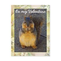 Will you be my Valentine_ Postcard