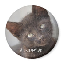 Will You? magnets by thessalonikicatgroup Will You? magnets