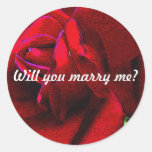 "Will you marry me?" message on red rose Round Sticker