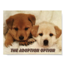 Will you wait to adopt an animal? posters