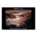 willbfree.com " The Dream Never Ends" posters by coyoteriver willbfree.com " The Dream Never Ends" posters