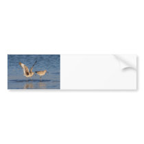 Willet Romance Bumper Sticker