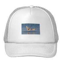Willet Romance Hat