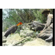 William Finley with Condors photo sculptures