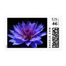 William Mclane stamps