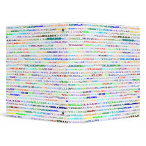 William Text Design II Binder