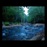 Williams River posters
