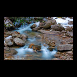 Williams River Tea Creek Area posters