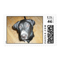 Willie postage by metalissa Willie postage