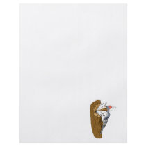 Willie Woodpecker Personalized Flyer