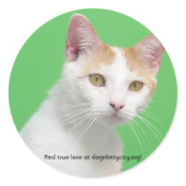 Willimina - Find True Love Sticker