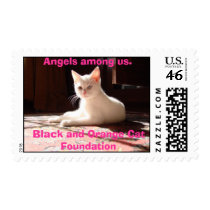 Willow3,Black and Orange Cat ... Stamp