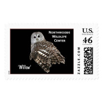 'Willow' Barred Owl postage