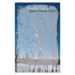 Willow Catkin Portrait; Customizable