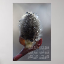 Willow Catkin Study; 2013 Calendar Posters