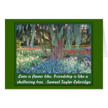 Willow Garden Greeting Cards