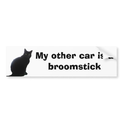 Willow, I love cats Bumper Sticker by Moondial