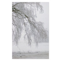 willow in winter  stationary stationery