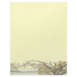 Willow Custom Letterhead