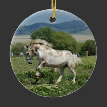 Willow ornaments