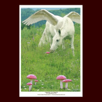 "WILLOW" Pegasus Art Print by RavenSpiritPrints "WILLOW" Pegasus Art Print
