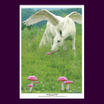 "WILLOW" Pegasus Art Print