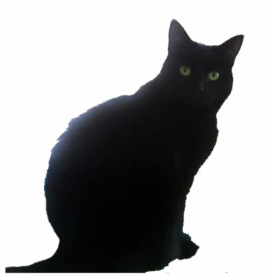 Willow Photo Cut Out by Moondial