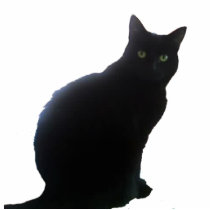 Willow Photo Cut Out