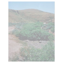 Willow Riparian Habitat in Idaho letterhead by animalpark Willow Riparian Habitat in Idaho letterhead