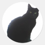 Willow Round Stickers