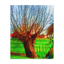 willow tree in traditional Flemish landscape Flyers