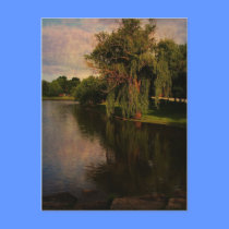 Willow Tree & Pond postcards