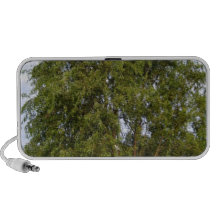 Willow Tree Travel Speaker