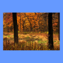 Willoway Brook posters