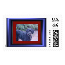  Willy Boy postage