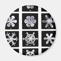 Wilson Bentley Snowflakes Magnets
