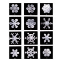 Wilson Bentley Snowflakes posters