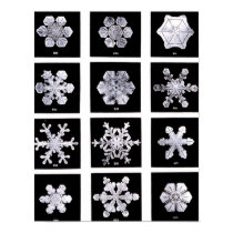 Wilson Bentley Snowflakes posters