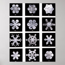 Wilson Bentley Snowflakes Print