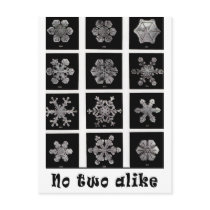 Wilson Bentley's Snowflakes, 1902 postcards