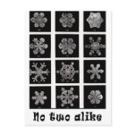 Wilson Bentley's Snowflakes, 1902 Post Card